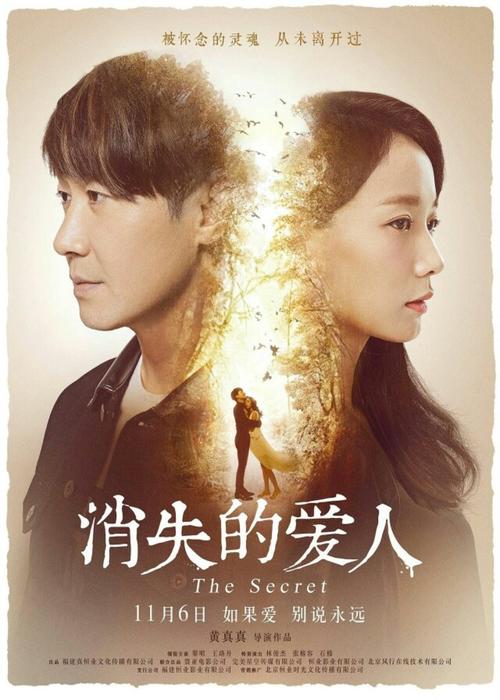 仿制假兴业银行流水电子版PDF